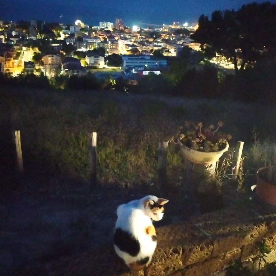 Terrazza Sul Mare *