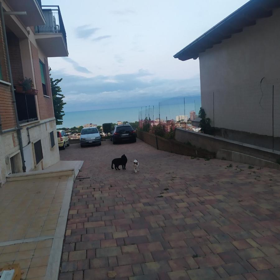 Bed & Breakfast Terrazza Sul Mare *