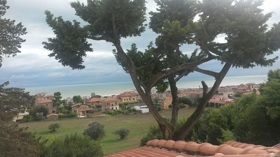 Bed & Breakfast Terrazza Sul Mare *